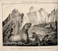 An illustration from Mémoires du Capitaine Péron : sur ses voyages aux côtes d'Afrique, en Arabie, à l'île d'Amsterdam, aux îles d'Anjouan et de Mayotte, aux côtes nord-ouest de l'Amérique, aux îles Sandwich, à la Chine, etc. (1824)