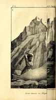 Picture 5 of 7 from Mémoires du Capitaine Péron : sur ses voyages aux côtes d'Afrique, en Arabie, à l'île d'Amsterdam, aux îles d'Anjouan et de Mayotte, aux côtes nord-ouest de l'Amérique, aux îles Sandwich, à la Chine, etc. (1824), leaf 222
