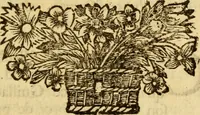 Picture 4 of 9 from Mémoires pour servir à l'histoire de Hollande et des autres Provinces-Unies : òu l'on verra les véritables causes des divisions qui sont depuis soixante ans dans cette république & qui la menacent de ruine (1697), leaf 264