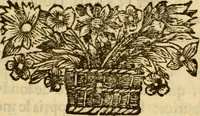 Picture 6 of 9 from Mémoires pour servir à l'histoire de Hollande et des autres Provinces-Unies : òu l'on verra les véritables causes des divisions qui sont depuis soixante ans dans cette république & qui la menacent de ruine (1697), leaf 370