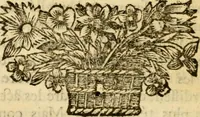 An illustration from Mémoires pour servir à l'histoire de Hollande et des autres Provinces-Unies : òu l'on verra les véritables causes des divisions qui sont depuis soixante ans dans cette république & qui la menacent de ruine (1697)