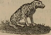 An illustration from Mémoires récréatifs, scientifiques et anecdotiques du physicien-aéronaute E.G. Robertson : connu par ses expériences de fantasmagorie, et par ses ascensions aérostatiques dans les principales villes de l'Europe : ex-professeur de physique au Collége central du ci-devant départment de l'Ourthe, membre de la Société Galvanique de Paris, de la Société des arts and des sciences de Hambourg, et de la Société d'émulation de Liége (1831)