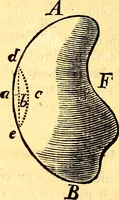 An illustration from Mémoires sur l'électricité et la magnétisme (1789)
