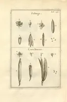 Picture 41 of 66 from Josephi Pitton Tournefort ... Institutiones rei herbaria. (1700), leaf 136