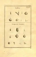 Picture 29 of 61 from Josephi Pitton Tournefort ... Institutiones rei herbaria. (1700), leaf 112