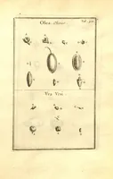 Picture 31 of 61 from Josephi Pitton Tournefort ... Institutiones rei herbaria. (1700), leaf 121
