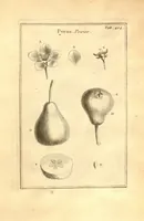 Picture 40 of 61 from Josephi Pitton Tournefort ... Institutiones rei herbaria. (1700), leaf 155