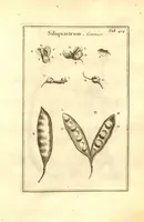 Picture 43 of 61 from Josephi Pitton Tournefort ... Institutiones rei herbaria. (1700), leaf 165