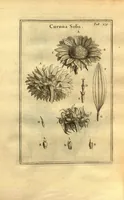 Picture 8 of 61 from Josephi Pitton Tournefort ... Institutiones rei herbaria. (1700), leaf 30