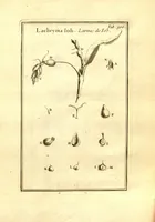 Picture 13 of 61 from Josephi Pitton Tournefort ... Institutiones rei herbaria. (1700), leaf 57