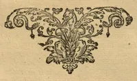 An illustration from Horti medici amstelodamensis rariorum tam Orientalis ?qua?m Occidentalis India, aliarumque peregrinarum plantarum, magno studio ac labore, sumptibus Civitatis amstelodamensis, longa? annorum serie collectarum, descriptio et icones ad vivum ari incisa /auctore Joanne Commelino. Opus posthumum, latinitate donatum, notisque & observationibus illustratum, a? Frederico Ruyschio & Francisco Kiggelario. (1697)