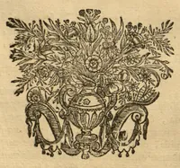 An illustration from Horti medici amstelodamensis rariorum tam Orientalis ?qua?m Occidentalis India, aliarumque peregrinarum plantarum, magno studio ac labore, sumptibus Civitatis amstelodamensis, longa? annorum serie collectarum, descriptio et icones ad vivum ari incisa /auctore Joanne Commelino. Opus posthumum, latinitate donatum, notisque & observationibus illustratum, a? Frederico Ruyschio & Francisco Kiggelario. (1697)