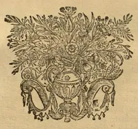 An illustration from Horti medici amstelodamensis rariorum tam Orientalis ?qua?m Occidentalis India, aliarumque peregrinarum plantarum, magno studio ac labore, sumptibus Civitatis amstelodamensis, longa? annorum serie collectarum, descriptio et icones ad vivum ari incisa /auctore Joanne Commelino. Opus posthumum, latinitate donatum, notisque & observationibus illustratum, a? Frederico Ruyschio & Francisco Kiggelario. (1697)