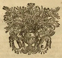 An illustration from Horti medici amstelodamensis rariorum tam Orientalis ?qua?m Occidentalis India, aliarumque peregrinarum plantarum, magno studio ac labore, sumptibus Civitatis amstelodamensis, longa? annorum serie collectarum, descriptio et icones ad vivum ari incisa /auctore Joanne Commelino. Opus posthumum, latinitate donatum, notisque & observationibus illustratum, a? Frederico Ruyschio & Francisco Kiggelario. (1697)