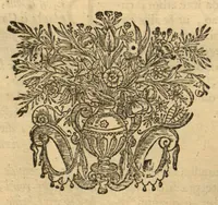 An illustration from Horti medici amstelodamensis rariorum tam Orientalis ?qua?m Occidentalis India, aliarumque peregrinarum plantarum, magno studio ac labore, sumptibus Civitatis amstelodamensis, longa? annorum serie collectarum, descriptio et icones ad vivum ari incisa /auctore Joanne Commelino. Opus posthumum, latinitate donatum, notisque & observationibus illustratum, a? Frederico Ruyschio & Francisco Kiggelario. (1697)
