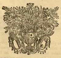 An illustration from Horti medici amstelodamensis rariorum tam Orientalis ?qua?m Occidentalis India, aliarumque peregrinarum plantarum, magno studio ac labore, sumptibus Civitatis amstelodamensis, longa? annorum serie collectarum, descriptio et icones ad vivum ari incisa /auctore Joanne Commelino. Opus posthumum, latinitate donatum, notisque & observationibus illustratum, a? Frederico Ruyschio & Francisco Kiggelario. (1697)