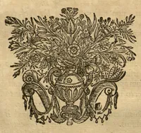 Picture 2 of 13 from Horti medici amstelodamensis rariorum tam Orientalis ?qua?m Occidentalis India, aliarumque peregrinarum plantarum, magno studio ac labore, sumptibus Civitatis amstelodamensis, longa? annorum serie collectarum, descriptio et icones ad vivum ari incisa /auctore Joanne Commelino. Opus posthumum, latinitate donatum, notisque & observationibus illustratum, a? Frederico Ruyschio & Francisco Kiggelario. (1697), leaf 29