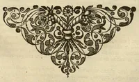 An illustration from Horti medici amstelodamensis rariorum tam Orientalis ?qua?m Occidentalis India, aliarumque peregrinarum plantarum, magno studio ac labore, sumptibus Civitatis amstelodamensis, longa? annorum serie collectarum, descriptio et icones ad vivum ari incisa /auctore Joanne Commelino. Opus posthumum, latinitate donatum, notisque & observationibus illustratum, a? Frederico Ruyschio & Francisco Kiggelario. (1697)