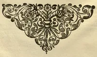 An illustration from Horti medici amstelodamensis rariorum tam Orientalis ?qua?m Occidentalis India, aliarumque peregrinarum plantarum, magno studio ac labore, sumptibus Civitatis amstelodamensis, longa? annorum serie collectarum, descriptio et icones ad vivum ari incisa /auctore Joanne Commelino. Opus posthumum, latinitate donatum, notisque & observationibus illustratum, a? Frederico Ruyschio & Francisco Kiggelario. (1697)