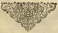 An illustration from Horti medici amstelodamensis rariorum tam Orientalis ?qua?m Occidentalis India, aliarumque peregrinarum plantarum, magno studio ac labore, sumptibus Civitatis amstelodamensis, longa? annorum serie collectarum, descriptio et icones ad vivum ari incisa /auctore Joanne Commelino. Opus posthumum, latinitate donatum, notisque & observationibus illustratum, a? Frederico Ruyschio & Francisco Kiggelario. (1697)