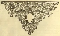 Picture 18 of 24 from Horti medici amstelodamensis rariorum tam Orientalis ?qua?m Occidentalis India, aliarumque peregrinarum plantarum, magno studio ac labore, sumptibus Civitatis amstelodamensis, longa? annorum serie collectarum, descriptio et icones ad vivum ari incisa /auctore Joanne Commelino. Opus posthumum, latinitate donatum, notisque & observationibus illustratum, a? Frederico Ruyschio & Francisco Kiggelario. (1697), leaf 267