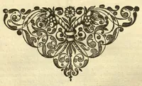 An illustration from Horti medici amstelodamensis rariorum tam Orientalis ?qua?m Occidentalis India, aliarumque peregrinarum plantarum, magno studio ac labore, sumptibus Civitatis amstelodamensis, longa? annorum serie collectarum, descriptio et icones ad vivum ari incisa /auctore Joanne Commelino. Opus posthumum, latinitate donatum, notisque & observationibus illustratum, a? Frederico Ruyschio & Francisco Kiggelario. (1697)