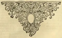 Picture 24 of 24 from Horti medici amstelodamensis rariorum tam Orientalis ?qua?m Occidentalis India, aliarumque peregrinarum plantarum, magno studio ac labore, sumptibus Civitatis amstelodamensis, longa? annorum serie collectarum, descriptio et icones ad vivum ari incisa /auctore Joanne Commelino. Opus posthumum, latinitate donatum, notisque & observationibus illustratum, a? Frederico Ruyschio & Francisco Kiggelario. (1697), leaf 310