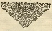 An illustration from Horti medici amstelodamensis rariorum tam Orientalis ?qua?m Occidentalis India, aliarumque peregrinarum plantarum, magno studio ac labore, sumptibus Civitatis amstelodamensis, longa? annorum serie collectarum, descriptio et icones ad vivum ari incisa /auctore Joanne Commelino. Opus posthumum, latinitate donatum, notisque & observationibus illustratum, a? Frederico Ruyschio & Francisco Kiggelario. (1697)
