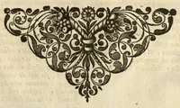 An illustration from Horti medici amstelodamensis rariorum tam Orientalis ?qua?m Occidentalis India, aliarumque peregrinarum plantarum, magno studio ac labore, sumptibus Civitatis amstelodamensis, longa? annorum serie collectarum, descriptio et icones ad vivum ari incisa /auctore Joanne Commelino. Opus posthumum, latinitate donatum, notisque & observationibus illustratum, a? Frederico Ruyschio & Francisco Kiggelario. (1697)