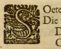 Picture 1 of 2 from Theatrum fungorum oft het toonsel der campernoelien ?... alles met neerstigheyt, lanck?duerige ondervindinghe, ende ijverigh ondersoecken vande schriften der ervarenste cruyt?kenders vergaedert ende beschreven /c door Franciscus van Sterbeeck. (1675), leaf 28