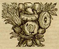 An illustration from Theatrum fungorum oft het toonsel der campernoelien ?... alles met neerstigheyt, lanck?duerige ondervindinghe, ende ijverigh ondersoecken vande schriften der ervarenste cruyt?kenders vergaedert ende beschreven /c door Franciscus van Sterbeeck. (1675)