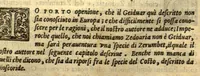 An illustration from Dve libri dell'historia de i semplici, aromati, et altre cose ?che vengono portate dall'Indie Orientali pertinente alla medicina /di don Garzia dall'Horto ... ; con alcune breui annotationi di Carlo Clvsio ; et dve altri libri parimente di qvelle che si portano dall'Indie Occidentali, di Nicolo? Monardes ... ; hora tutti tradotti dalle loro lingue nella nostra Italiana da m. Annibale Briganti ... (1576)