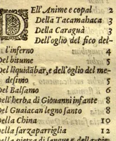 An illustration from Dve libri dell'historia de i semplici, aromati, et altre cose ?che vengono portate dall'Indie Orientali pertinente alla medicina /di don Garzia dall'Horto ... ; con alcune breui annotationi di Carlo Clvsio ; et dve altri libri parimente di qvelle che si portano dall'Indie Occidentali, di Nicolo? Monardes ... ; hora tutti tradotti dalle loro lingue nella nostra Italiana da m. Annibale Briganti ... (1576)