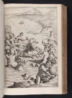 An illustration from Hesperides, sive, De malorvm avreorvm cvltvra et vsv libri quatuor (1646)