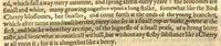 An illustration from Paradisi in sole paradisus terrestris, or, A garden of all sorts of pleasant flowers which our English ayre will permitt to be noursed vp?with a kitchen garden of all manner of herbes, rootes, & fruites, for meate or sause vsed with vs, and an orchard of all sorte of fruitbearing trees and shrubbes fit for our land together with the right orderinge planting & preseruing of them and their vses & vertues /collected by John Parkinson. (1629)