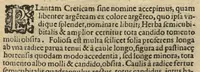 An illustration from De plantis exoticis libri duo /Prosperi Alpini ... ; opus completum, editum studio, ac opera Alpini Alpini ... (1629)