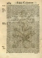 An illustration from Fabii Columnae Lyncei Minus cognitarum rariorumque nostro coelo orientium stirpium ekphrasis ?qua non paucae ab antiquioribus Theophrasto, Dioscoride, Plinio, Galeno aliisq. descriptae, praeter illas etiam in Phytobasano editas disquiruntur ac declarantur. Item de aquatilibus aliisque nonnullis animalibus libellus ... Omnia fideliter ad vivum delineata, atque aeneis?typis expressa cum indice in calce voluminis locupletissimo. (1616)