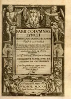 Picture 7 of 16 from Fabii Columnae Lyncei Minus cognitarum rariorumque nostro coelo orientium stirpium ekphrasis ?qua non paucae ab antiquioribus Theophrasto, Dioscoride, Plinio, Galeno aliisq. descriptae, praeter illas etiam in Phytobasano editas disquiruntur ac declarantur. Item de aquatilibus aliisque nonnullis animalibus libellus ... Omnia fideliter ad vivum delineata, atque aeneis?typis expressa cum indice in calce voluminis locupletissimo. (1616), leaf 431