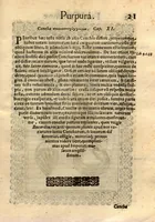 An illustration from Fabii Columnae Lyncei Minus cognitarum rariorumque nostro coelo orientium stirpium ekphrasis ?qua non paucae ab antiquioribus Theophrasto, Dioscoride, Plinio, Galeno aliisq. descriptae, praeter illas etiam in Phytobasano editas disquiruntur ac declarantur. Item de aquatilibus aliisque nonnullis animalibus libellus ... Omnia fideliter ad vivum delineata, atque aeneis?typis expressa cum indice in calce voluminis locupletissimo. (1616)