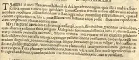 An illustration from Caroli Clusi Atrebatis, Impp. Caess. Augg., Maximiliani II, Rudolphi II, aulae quondam familiaris, Rariorum plantarum historia ?quae accesserint, proxima pagina docebit. (1601)