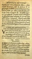 An illustration from Remberti Dodonaei mechliniensis medici De frugum historia. (1552)