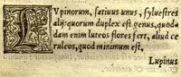 An illustration from Remberti Dodonaei mechliniensis medici De frugum historia. (1552)