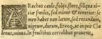 An illustration from Remberti Dodonaei mechliniensis medici De frugum historia. (1552)