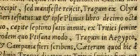 An illustration from Remberti Dodonaei mechliniensis medici De frugum historia. (1552)