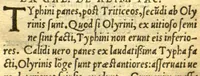 An illustration from Remberti Dodonaei mechliniensis medici De frugum historia. (1552)
