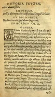 An illustration from Remberti Dodonaei mechliniensis medici De frugum historia. (1552)