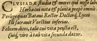 An illustration from Caroli Clvsii Atrebatis Cvrae posteriores, seu, Plurimarum non ante? cognitarum, aut descriptarum stirpium, peregrinorumq?ue aliquot animalium ?novae descriptiones? quibus & omnia ipsius opera, alia?que ab eo versa augentur, aut illustrantur /acessit seorsim Everardi Vorstii ... de eiusdem Caroli Clusii vita & obitu oratio, aliorumq?ue epicedia. (1611)