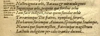 An illustration from Caroli Clvsii Atrebatis Cvrae posteriores, seu, Plurimarum non ante? cognitarum, aut descriptarum stirpium, peregrinorumq?ue aliquot animalium ?novae descriptiones? quibus & omnia ipsius opera, alia?que ab eo versa augentur, aut illustrantur /acessit seorsim Everardi Vorstii ... de eiusdem Caroli Clusii vita & obitu oratio, aliorumq?ue epicedia. (1611)
