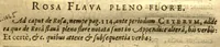 An illustration from Caroli Clvsii Atrebatis Cvrae posteriores, seu, Plurimarum non ante? cognitarum, aut descriptarum stirpium, peregrinorumq?ue aliquot animalium ?novae descriptiones? quibus & omnia ipsius opera, alia?que ab eo versa augentur, aut illustrantur /acessit seorsim Everardi Vorstii ... de eiusdem Caroli Clusii vita & obitu oratio, aliorumq?ue epicedia. (1611)