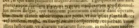 An illustration from Caroli Clvsii Atrebatis Cvrae posteriores, seu, Plurimarum non ante? cognitarum, aut descriptarum stirpium, peregrinorumq?ue aliquot animalium ?novae descriptiones? quibus & omnia ipsius opera, alia?que ab eo versa augentur, aut illustrantur /acessit seorsim Everardi Vorstii ... de eiusdem Caroli Clusii vita & obitu oratio, aliorumq?ue epicedia. (1611)